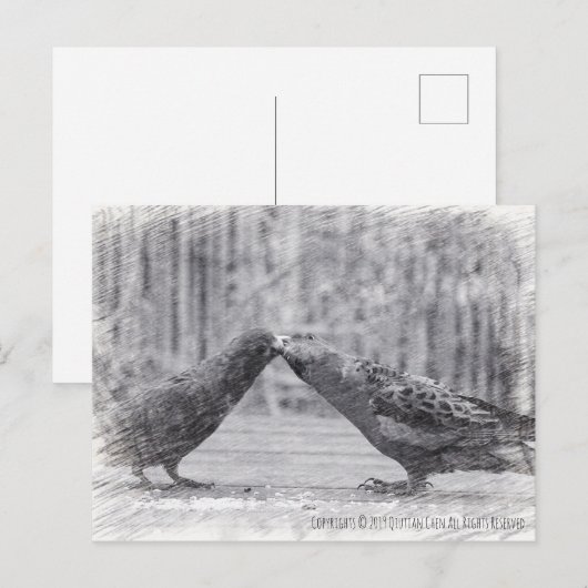 鳥キスをする類 ポストカード (正面/裏面)