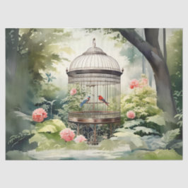 鳥ケビクトリアンージの分離 薄葉紙