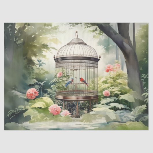 鳥ケビクトリアンージの分離 薄葉紙 (正面)