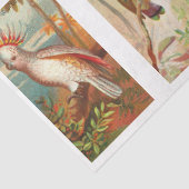 鳥コレクションコカトゥー1ヴィンテージデカップティス 薄葉紙 (詳細)