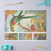 鳥コレクションパラケット2aヴィンテージデコページ 薄葉紙 (クラフト)