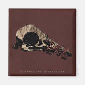 鳥スカル マグネット (正面)