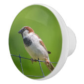 鳥セラミックノブ セラミックノブ (右)