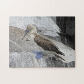 鳥パズル ジグソーパズル (横)