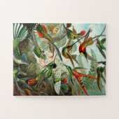 鳥パズル ジグソーパズル (横)