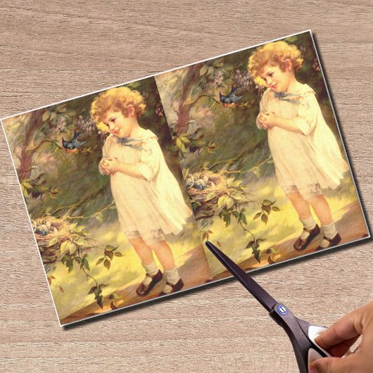 鳥ビクトリアンかわいこちゃん 薄葉紙