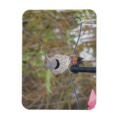 鳥フィーダーマグネット上の北フリッカー マグネット (縦)