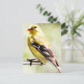 鳥フィーダ絵を描でのデジタル金ゴールドフィンチ ポストカード (スタンド正面)
