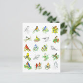 鳥ブルーバード(鳥)ショウジョウコウカンチョウ《鳥》アメリカゴガラ鳥類学 ポストカード (スタンド正面)