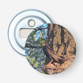 鳥ボトルオープナー 栓抜き