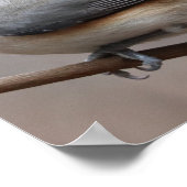 鳥ポスター ポスター (角)