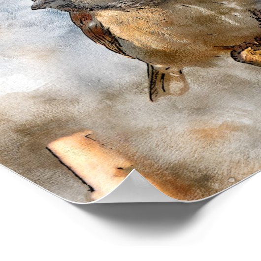 鳥ポスター ポスター (角)