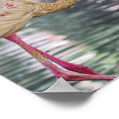 鳥ポスター ポスター (角)