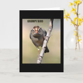 鳥ユーモアのあるグリーティングカード カード (黄色い花)