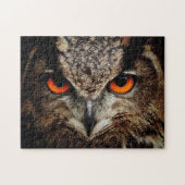 鳥写真動物パズル最高の野生動物写真 ジグソーパズル (横)