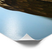 鳥写真 フォトプリント            (角)