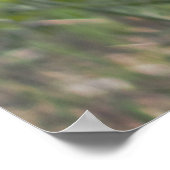 鳥写真 ポスター (角)