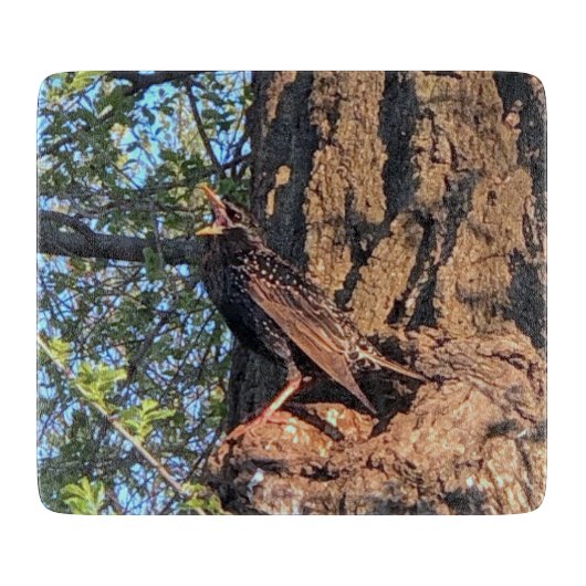 鳥切り盤 カッティングボード (正面)