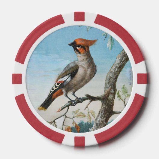 鳥勉強byジョージ・エドワーズ(1694年~1773年) ポーカーチップ (正面)