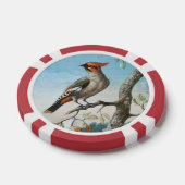 鳥勉強byジョージ・エドワーズ(1694年~1773年) ポーカーチップ (シングル)