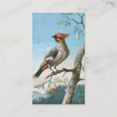 鳥勉強byジョージ・エドワーズ（1694年～1773年） 名刺 (裏面)