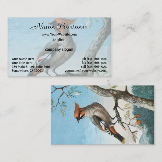 鳥勉強byジョージ・エドワーズ（1694年～1773年） 名刺 (正面/裏面)