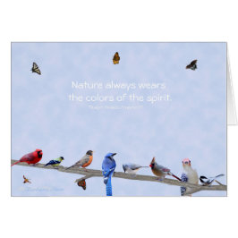 鳥及び蝶は精神の色を身に着けています: