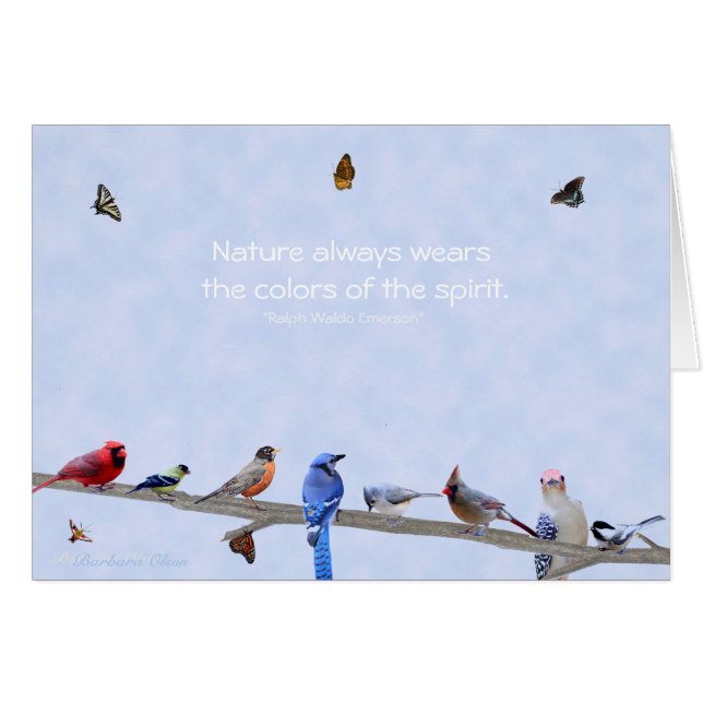 鳥及び蝶は精神の色を身に着けています: (正面横)