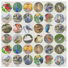 鳥好きの生地 ファブリック