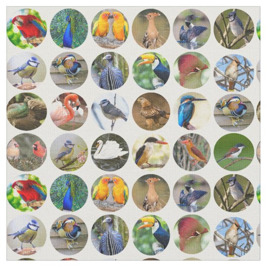 鳥好きの生地 ファブリック (クローズアップ)