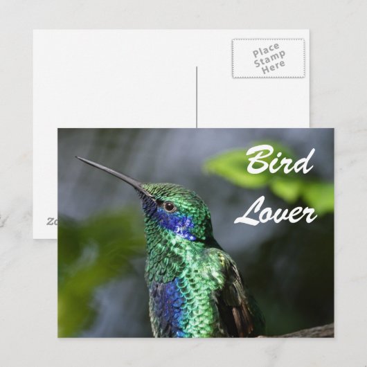 鳥好き ポストカード (正面/裏面)