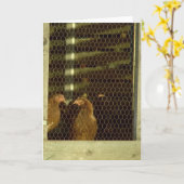 鳥小屋カード カード (黄色い花)