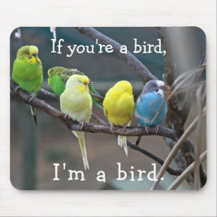 鳥愛引用文のインコのBudgiesの写真 マウスパッド