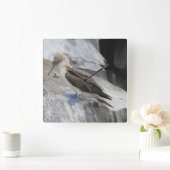 鳥時計 スクエア壁時計 (ホーム)