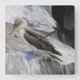 鳥時計 スクエア壁時計