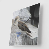 鳥時計 スクエア壁時計 (傾斜)