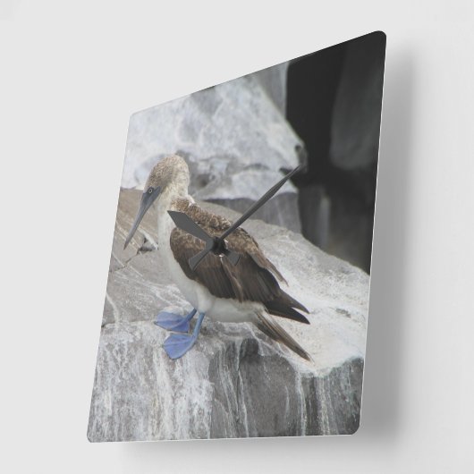 鳥時計 スクエア壁時計 (傾斜)