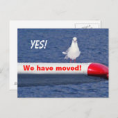 鳥獣おもしろい葉書を引越した 案内ポストカード (正面/裏面)