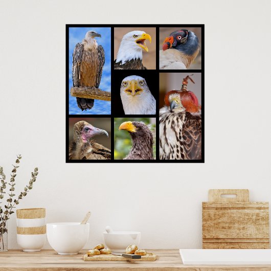 鳥獣写真 ポスター (キッチン)