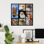 鳥獣写真 ポスター (ホームオフィス)