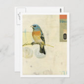 鳥番号1 ポストカード (正面/裏面)