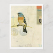 鳥番号1 ポストカード (正面)