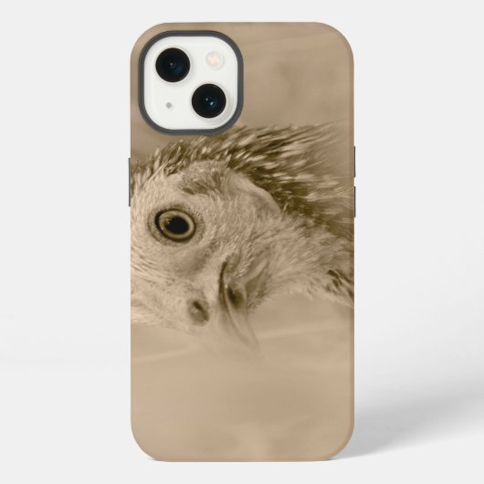 鳥瞰図 iPhoneケース (裏面)
