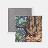 鳥磁石 マグネット (正面/裏面)