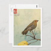 鳥第2号 ポストカード (正面/裏面)