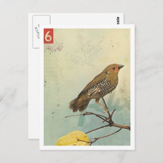 鳥第2号 ポストカード (正面/裏面)