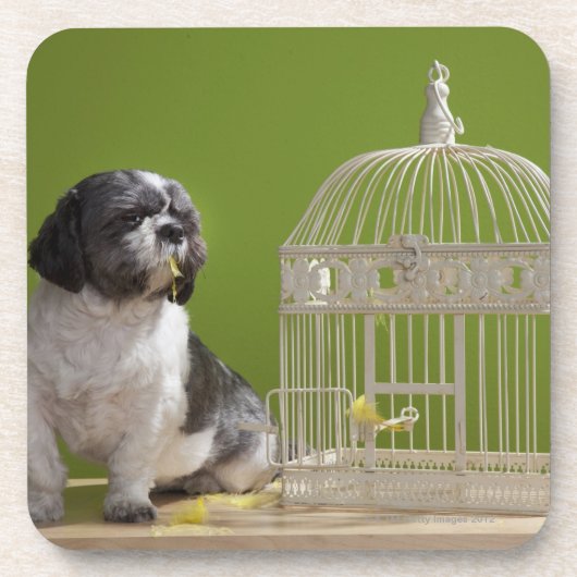 鳥籠の近くの犬 コースター (正面)