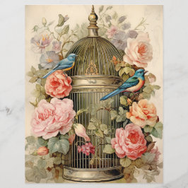 鳥美しいスクラップブック紙