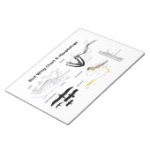 鳥羽の解剖図 ノートパッド (アングル)