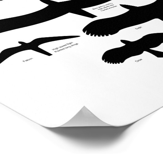 鳥羽の解剖図 ポスター (角)